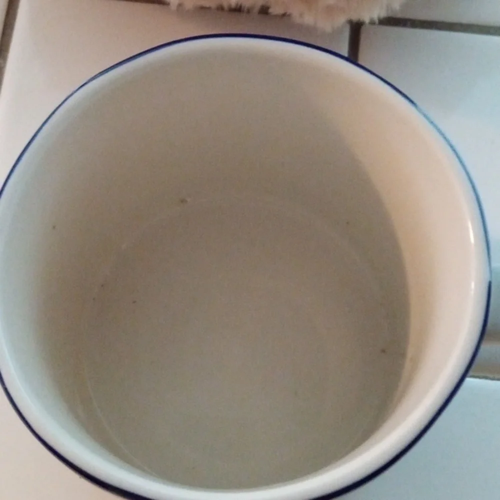 NWOT RARE Anthropology Coffee Cup